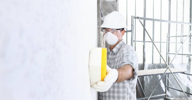 Best Commercial Mold Inspection  in Amherst, WI