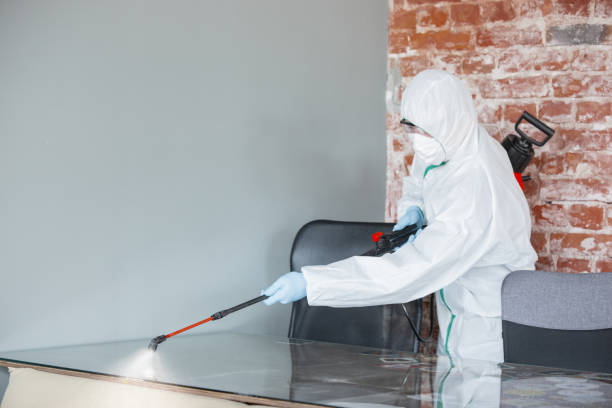 Best Crawl Space Mold Remediation  in Amherst, WI