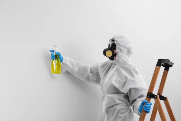 Best Mold Remediation for Healthcare Facilities  in Amherst, WI