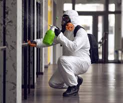 Mold Remediation for Vacation Homes in Amherst, WI