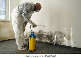 Best Environmental Consulting for Mold Prevention  in Amherst, WI